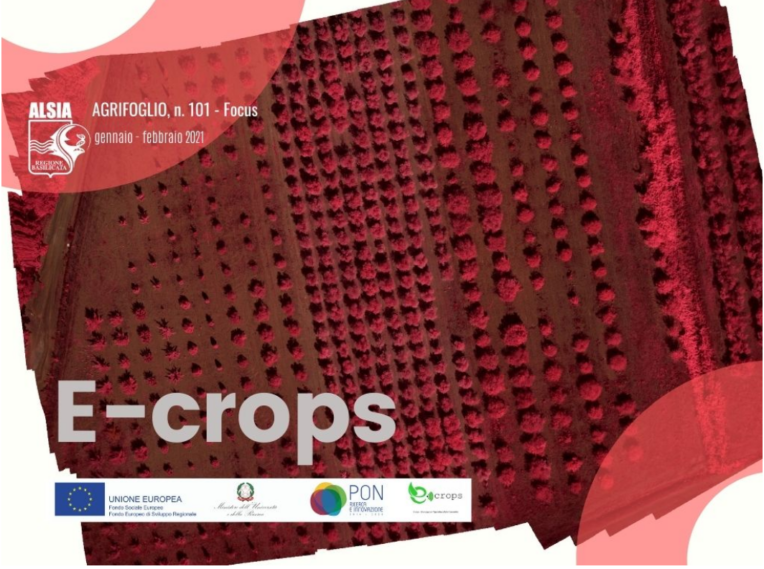 Focus E-crops su rivista Agrifoglio